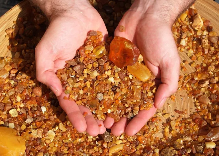 Akzent Residenz فندق